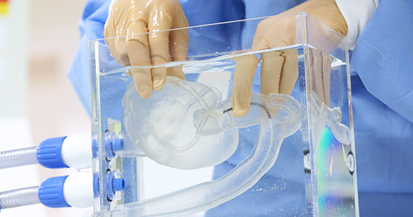 Pulsatile Pump | HEARTROID Pulsatile Pump | HEARTROID