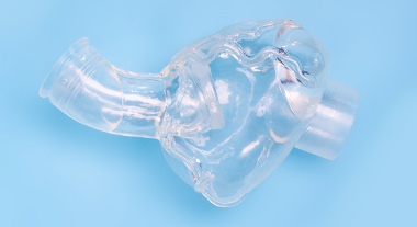 Heart Model for TAVI