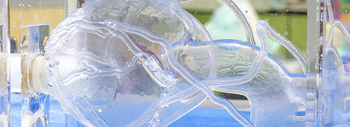 CABG Model