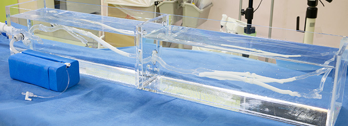 EVT Model