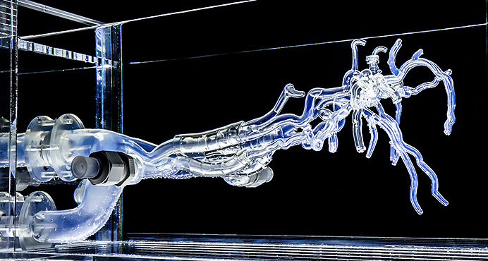 NV(Neurovascular)Model