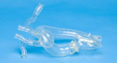 Heart Model for TAA
