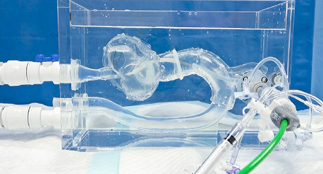TAVI Alternative Access Model