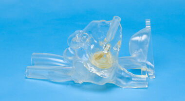 Heart Model for TV