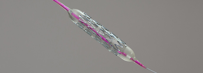 Reusable Training Stent